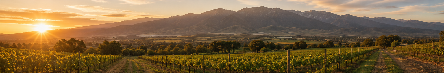 Vista panorámica de los campos y parrones de Granja Verde al amanecer, con la cordillera de los Andes de fondo